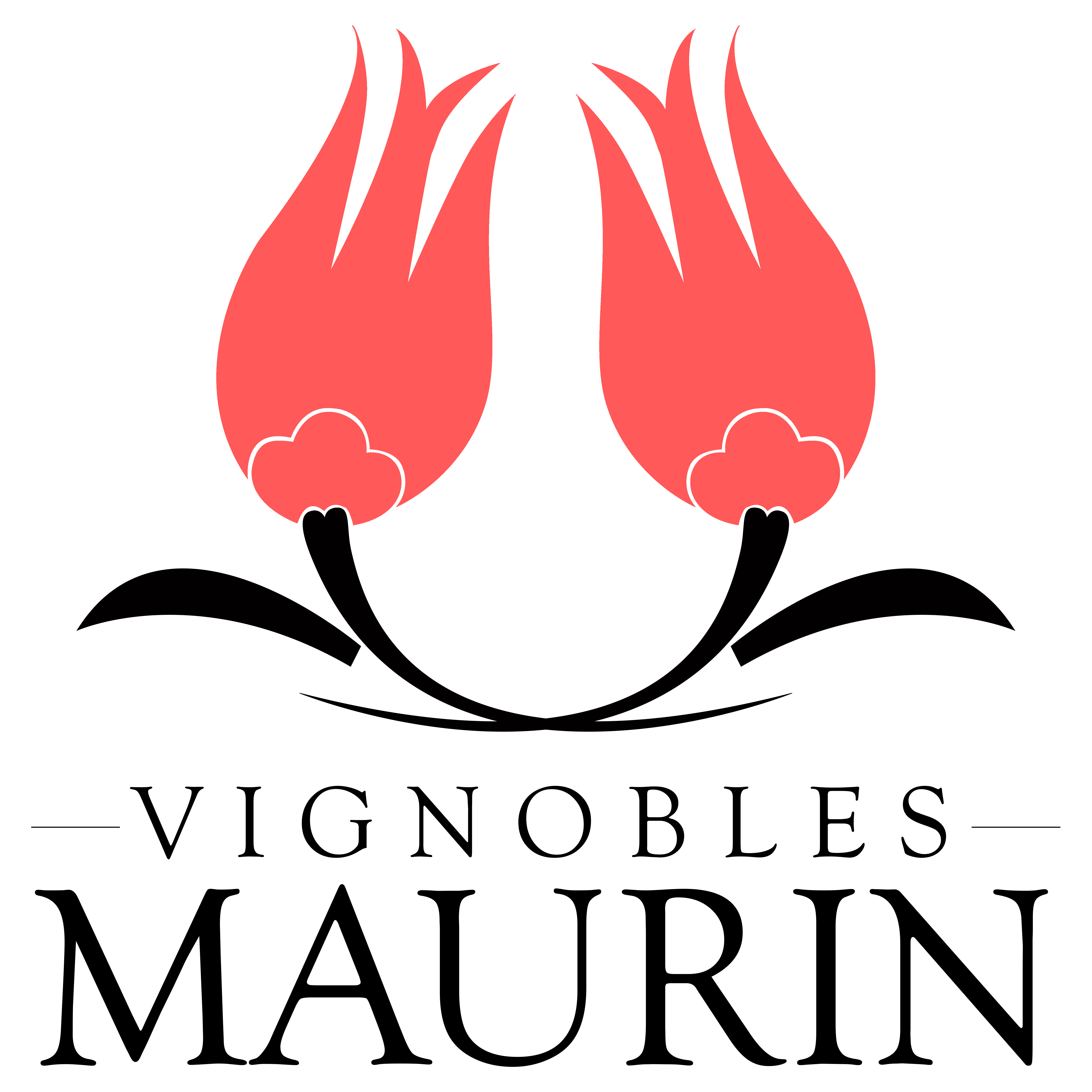 Château Haut Bastor