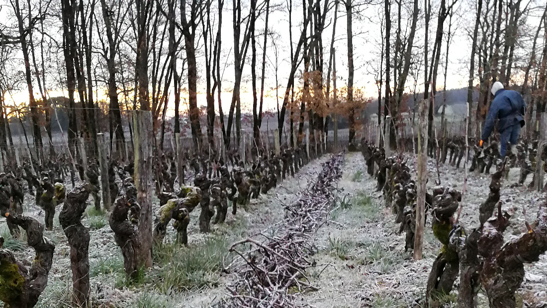 Vignobles Maurin - Travaux hiver 2018